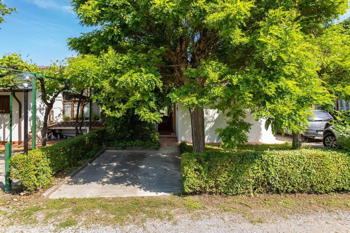 Chalet Sul Trasimeno Сант'Арканджело Экстерьер фото